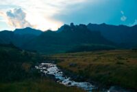 Unbelievable Bird Species You Never Knew Existed That Will Leave You Speechless And Wanting More