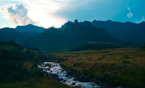 Unbelievable Bird Species You Never Knew Existed That Will Leave You Speechless And Wanting More